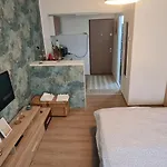 Garsoniera Cozy Temeşvar