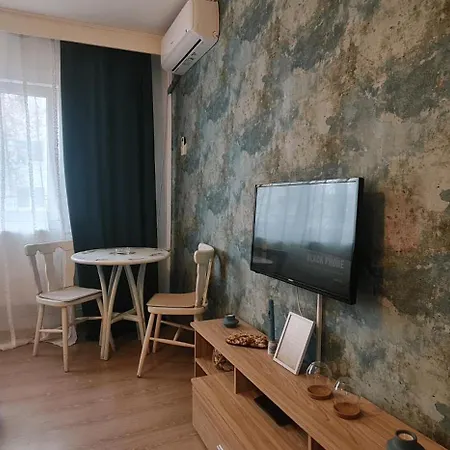 Garsoniera Cozy Daire Temeşvar