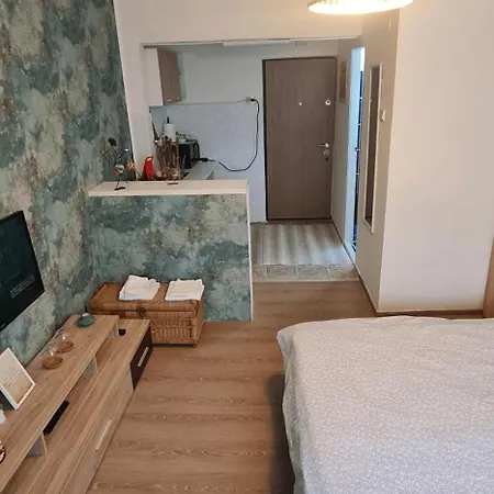 Garsoniera Cozy Timişoara