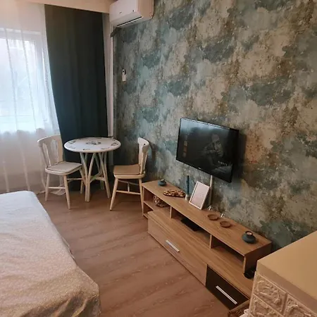 Garsoniera Cozy * Temeşvar
