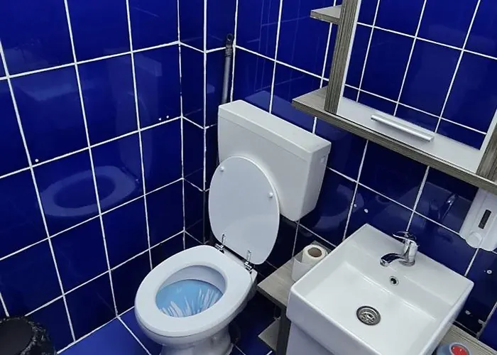 Apartment Garsoniera Cozy