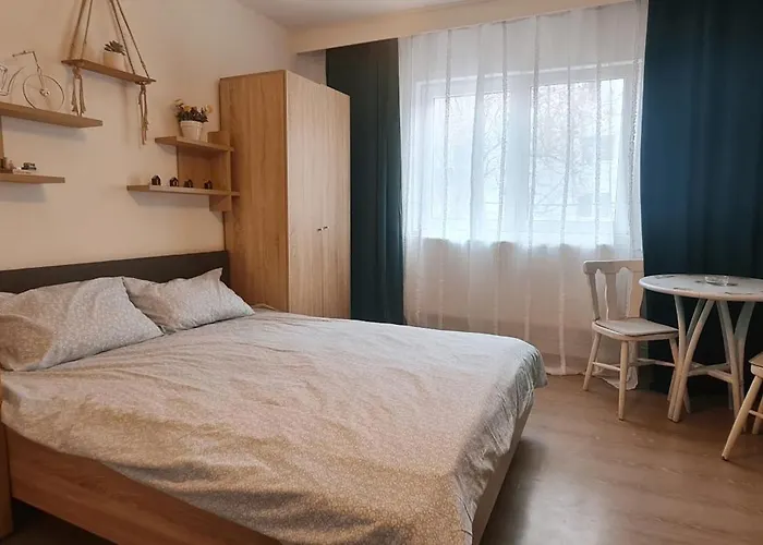Apartmán Garsoniera Cozy Temešvár