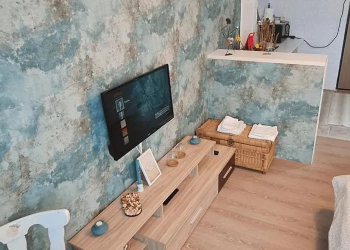 Garsoniera Cozy Timisoara