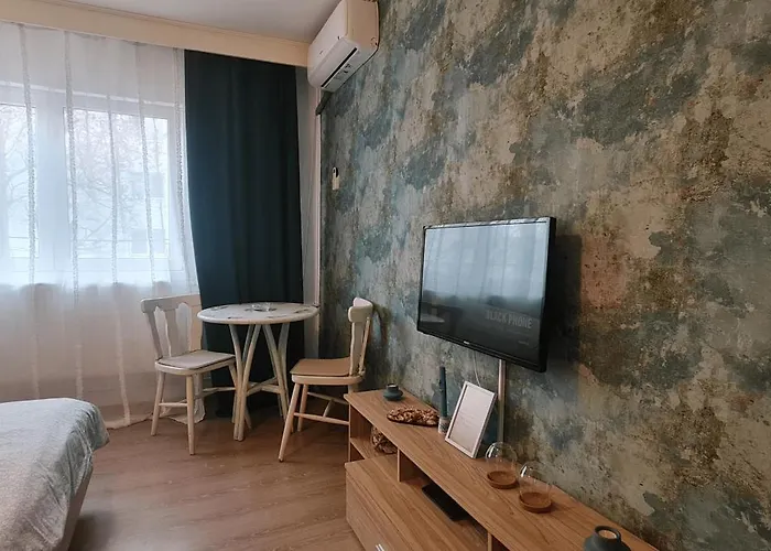 Garsoniera Cozy Apartment Timisoara