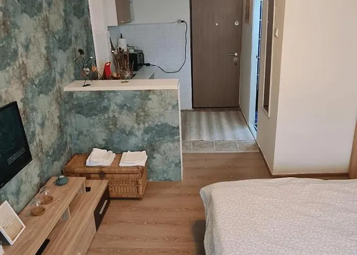 Garsoniera Cozy Temešvár